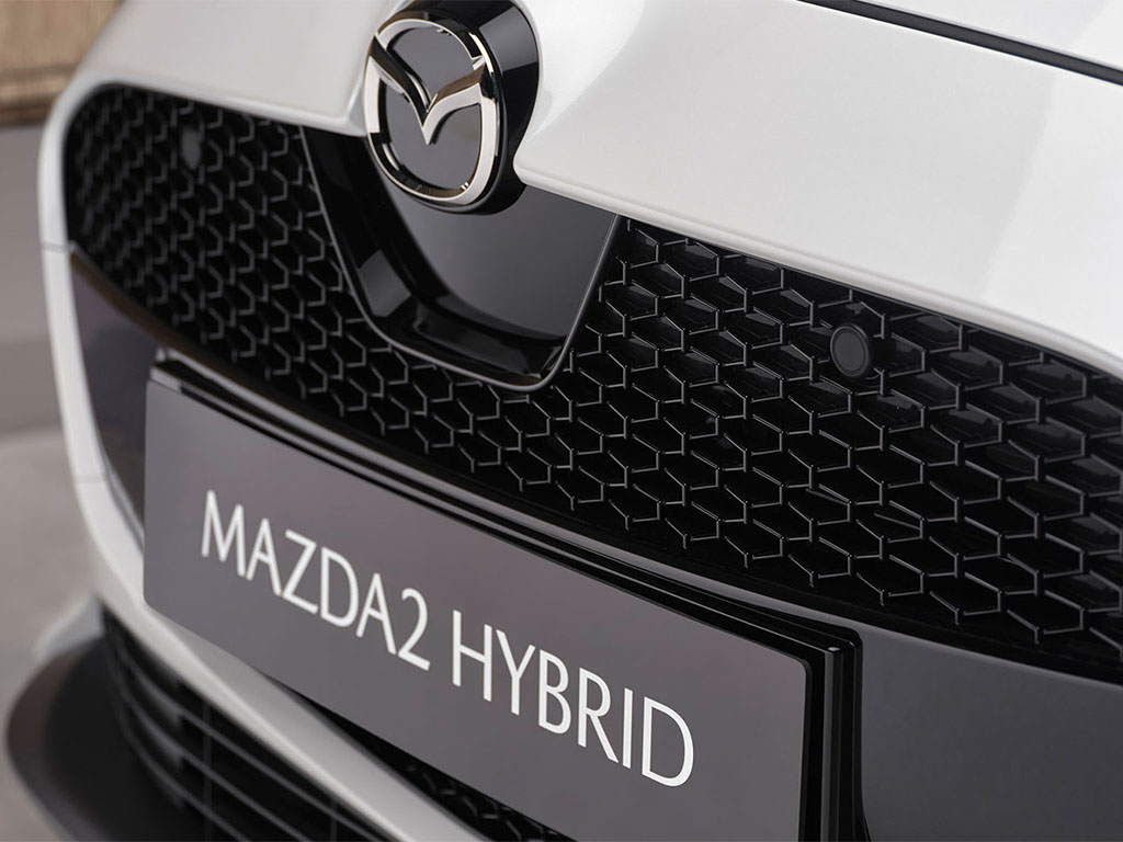 Noleggio Auto Ibrida Breve Termine